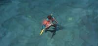 Blade of Heptaseas